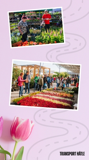 Story - reels (24).jpg